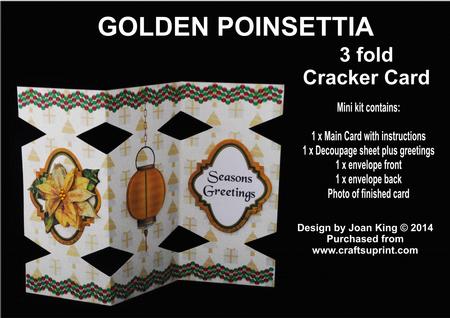 Golden Poinsettia