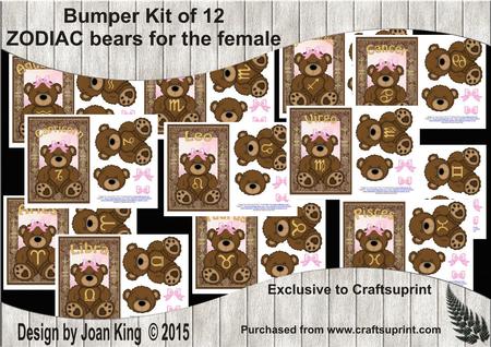 Set of 12 Zodiac Signs for Female