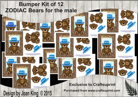 Set of 12 Zodiac Signs for Male