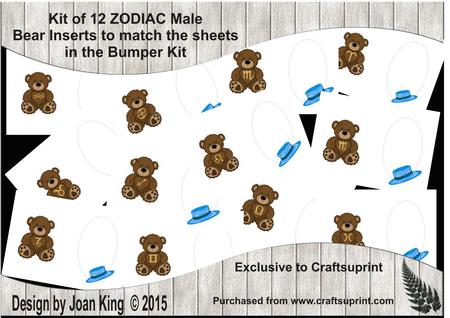 Set of 12 Zodiac Signs for Male Inserts