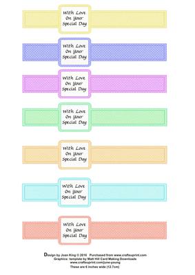 Ribbon Wrap with With Love on Your Special Day 6 Inch