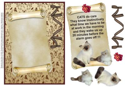 Cats 2