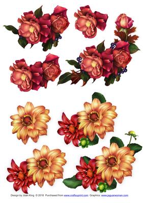 Roses & Dahlias