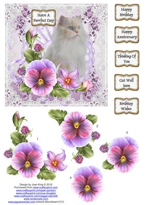 Cat in the Pansies