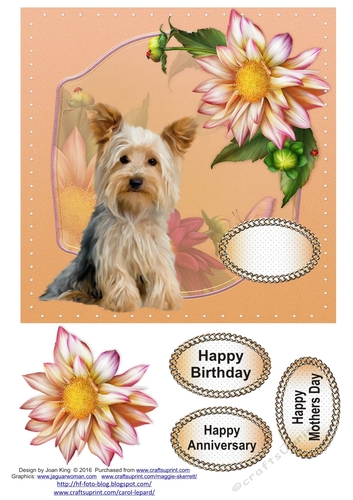Dog in the Dahlias
