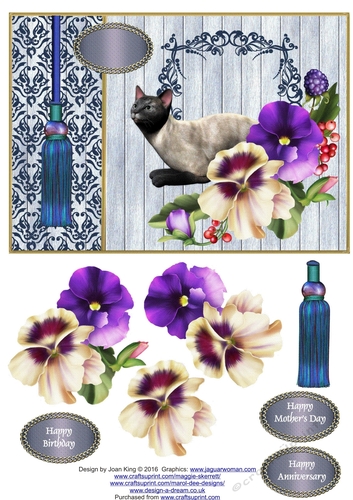 Siamese in the pansies