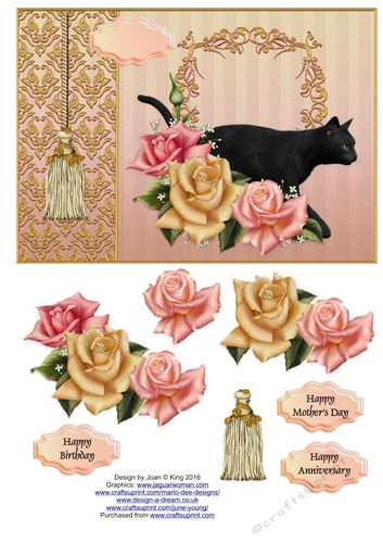 Black cat in the roses