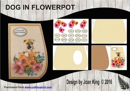 Dog in Flowerpot