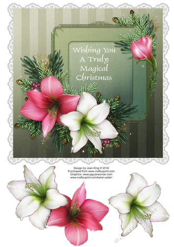 Magical Christmas
