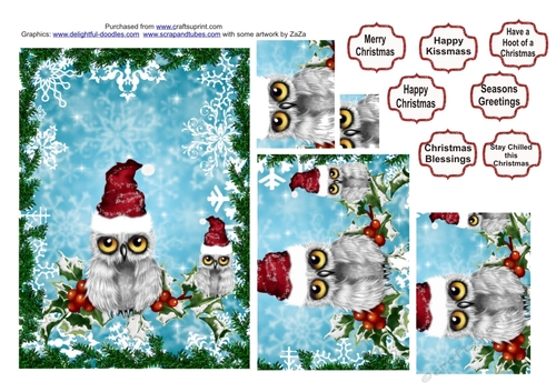Snowy Owls at Christmas