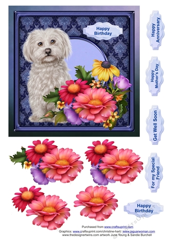 Cute dog in the flowers
