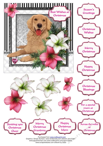 Golden Retriever in the Amaryllis Bloom at Christmas