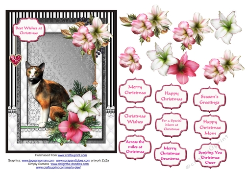 Calico cat in the Christmas flowers