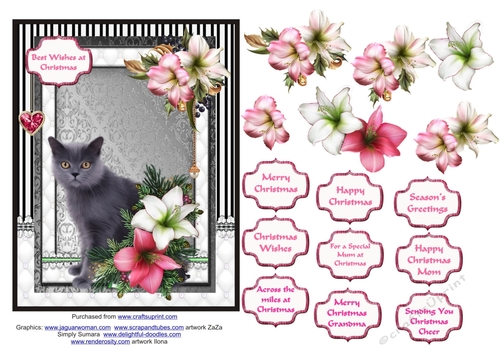 Fluffy grey cat in the Christmas flowers