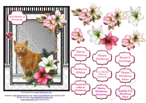 Ginger cat in the Christmas flowers