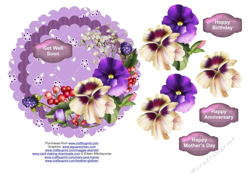 Purple Pansies Scallop
