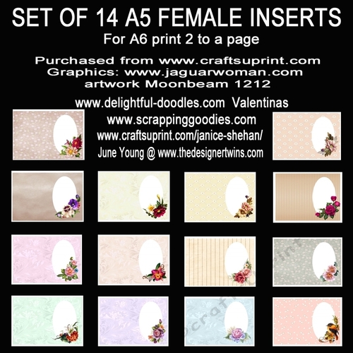 Set of 14 A5 female inserts plain for your own words. 