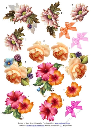 Trio of Flowers