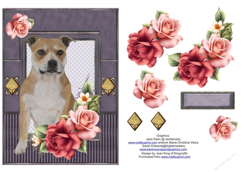 Staffordshire Bull Terrier