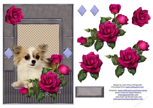 Chihuahua