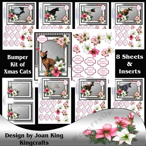 Cats for Christmas - bumper kit of 8 designs plus inserts