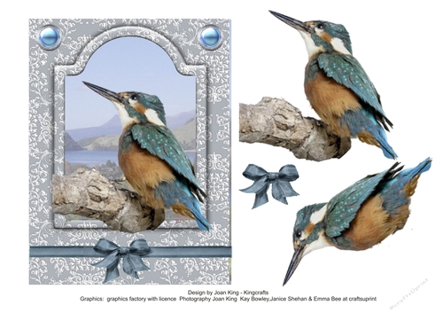 Kingfisher