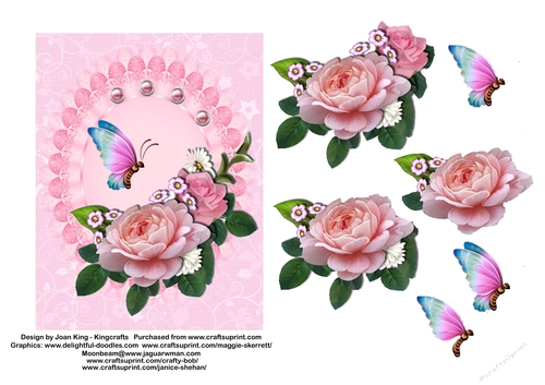 Pink Roses and Lace