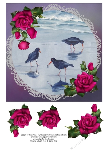Oyster Catchers on Lace