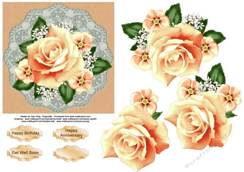 Lace and peach roses