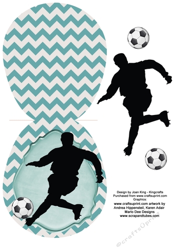 The Footballer