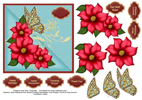 Butterfly and flowers