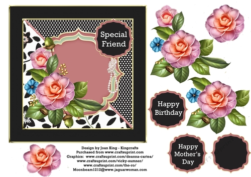 Camellias for any occasion