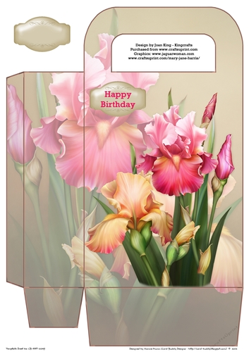 Blush of Iris gift bag