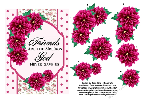 Friends are the siblings God never gave us