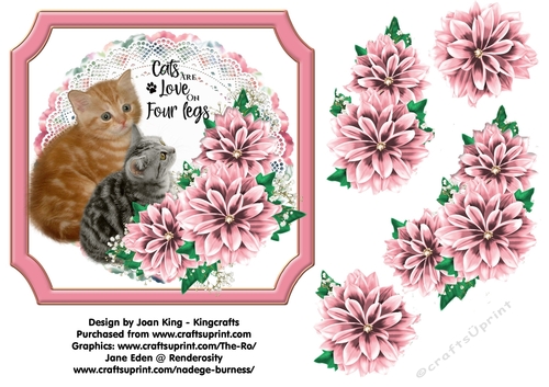 Cats are love on four legs 2