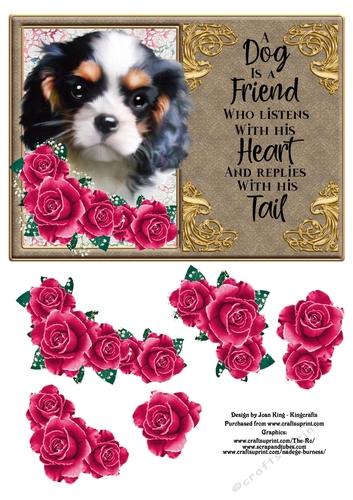 A dog is a friend who listens 2