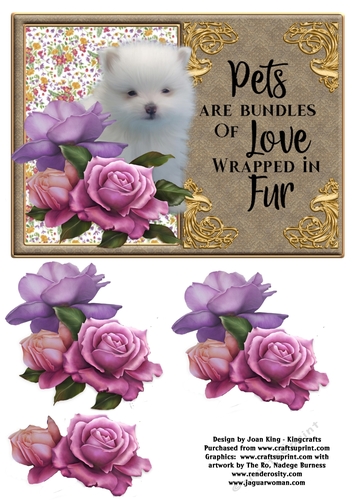 Pets are bundles of love