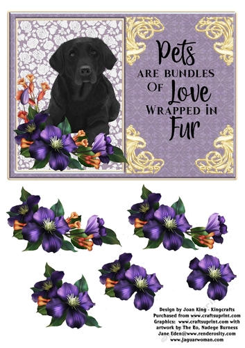 Pets are bundles of love 3