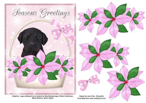 Christmas Black Labrador Pink