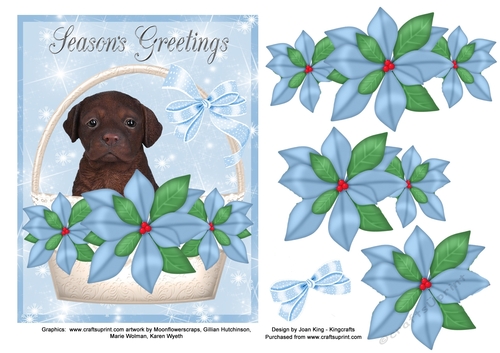 Christmas Chocolate Labrador Blue