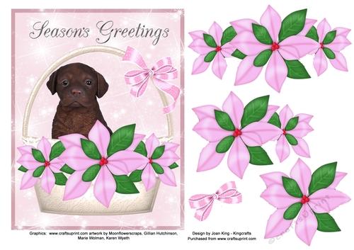 Christmas Chocolate Labrador Pink