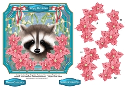 Wild racoon