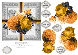 Shades of orange roses