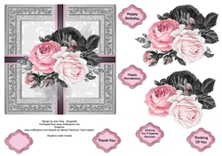 Shades of pink roses