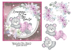 Congratulations on your new baby girl
