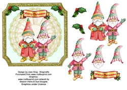 Santa Gnomes