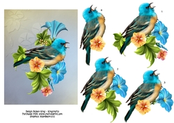 Bird in the flowers