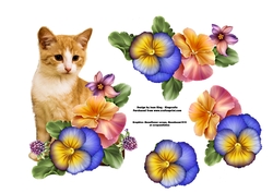 Cat amongst the flowers