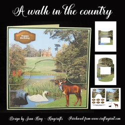 A walk in the country