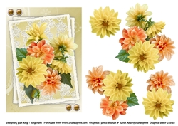 Yellow & Peach dahlias